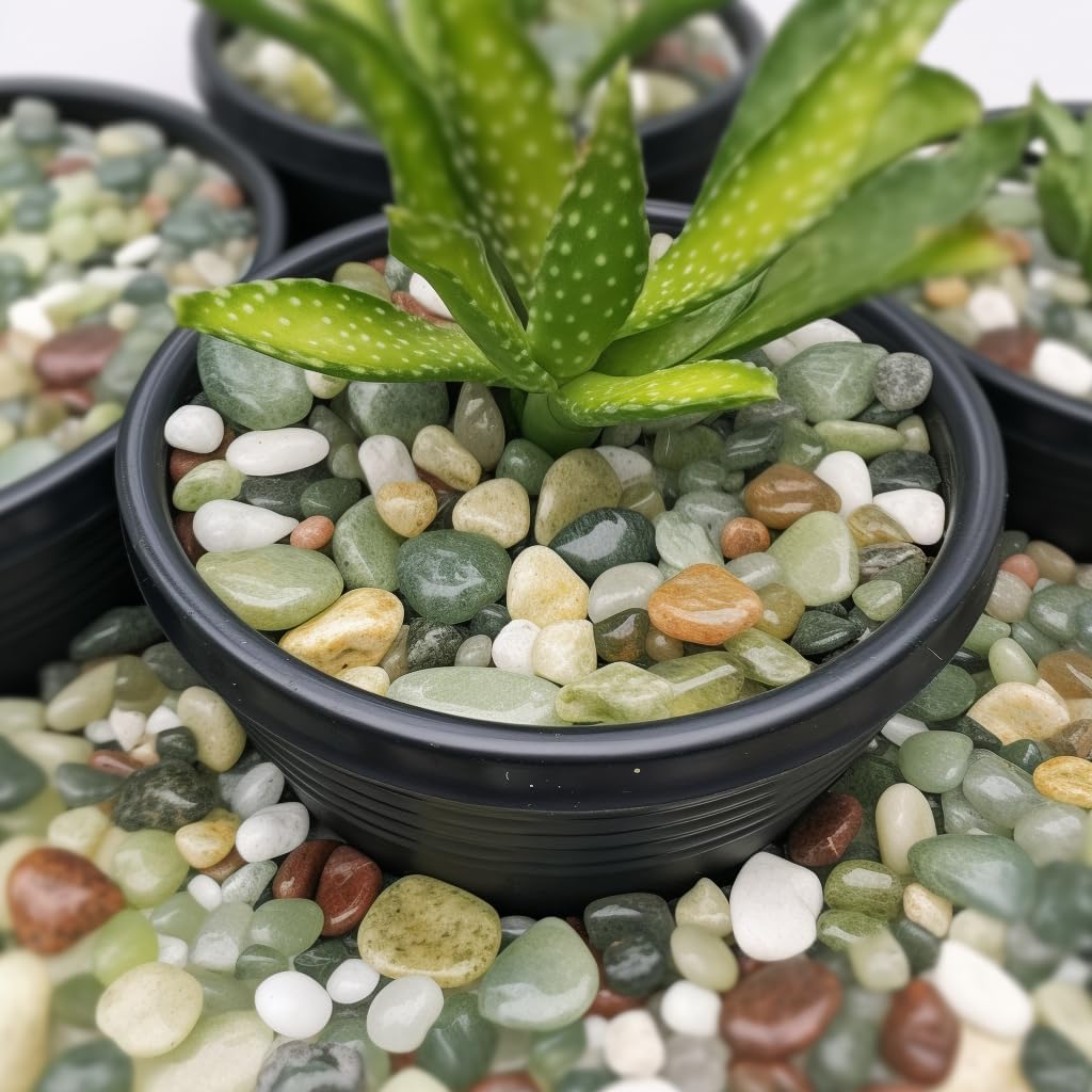 Stonecreek 24 LBS River Rocks (2 x 12 LBS Bags) – Natural Polished Decorative Pebbles, Garden Landscaping Stones for Planters, Vase Fillers, Succulent Pots, Fish Tanks & Terrariums, Jade Medium