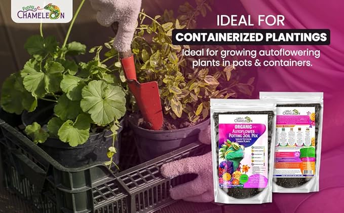 Organic Autoflower Potting Soil Mix β Ready-to-Use Living Soil, No Fertilizers Needed β Balanced Nutrients, Light Texture, Excellent Drainage, Boosts Germination & Root Growth (5 quarts)