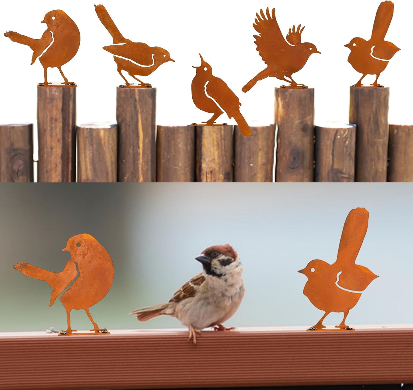 Nbippiooiwip Five-Piece Rustic Outdoor Bird Garden Sculpture Set, Metal Wall Art Bird Ornaments Ideal for Garden Stakes, Fields, Parks, Hotels, and Bird Enthusiasts Rustic Style