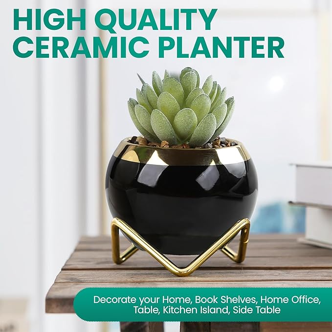Set of 2 Artificial Succulents in Ceramic pots with Elegant Iron Frames and Delicate Flowers - Elevate Your Space with a Stunning Fake Plant Arrangement for Stylish Home Decor