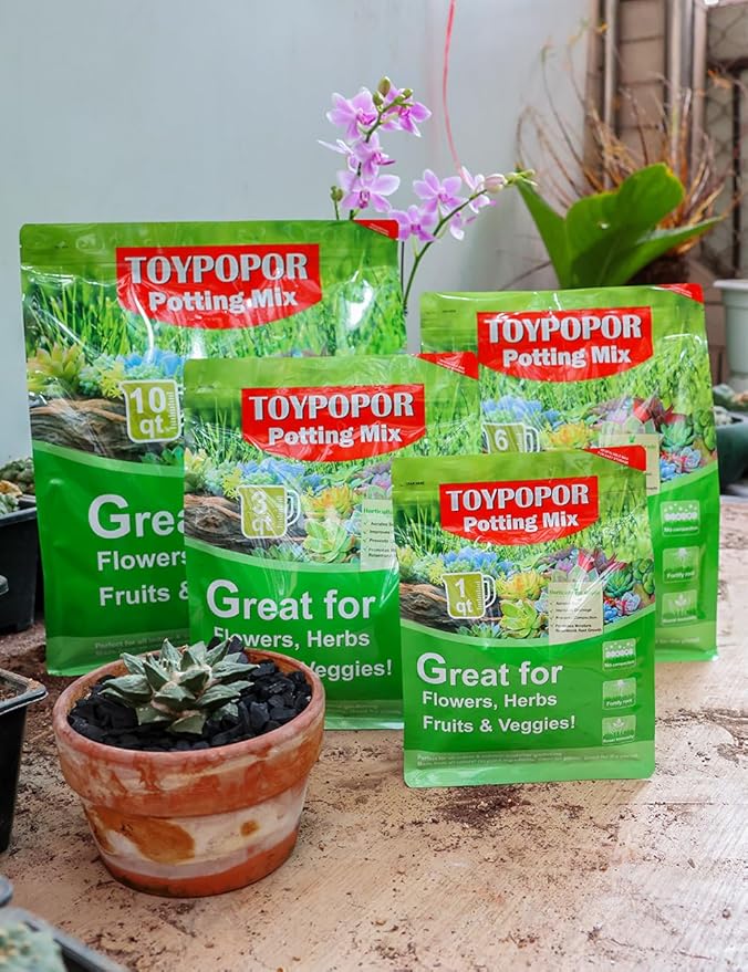 TOYPOPOR Horticultural Charcoal for Indoor Plants Hardwood Potting Soil Amendment Helps Improve Drainage for Orchids, Succulent, Cactus, Terrariums, and Gardening 1Quart