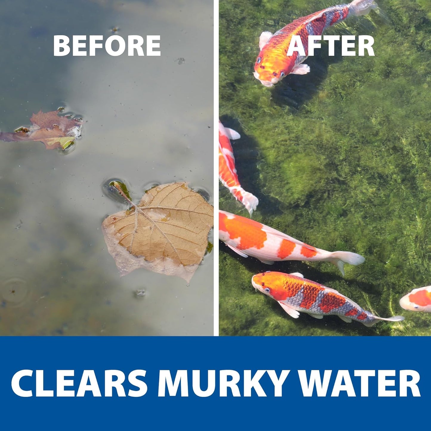 The Pond Guy RapidClear Flocculant, Water Garden Clarifier Treatment, Clear Cloudy Outdoor Koi Fish Ponds & Fountains, Plant & Animal Safe, 1 Gallon