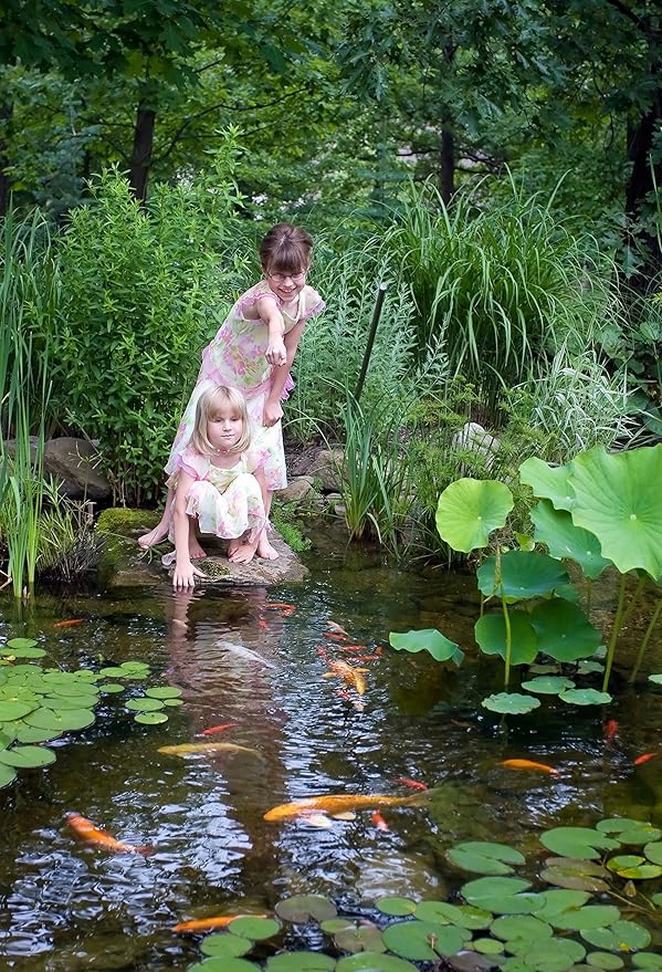 Aquascape Liquid Beneficial Bacteria for Pond and Water Features, 16-Ounce, Easy Pump Top Bottle | 98887