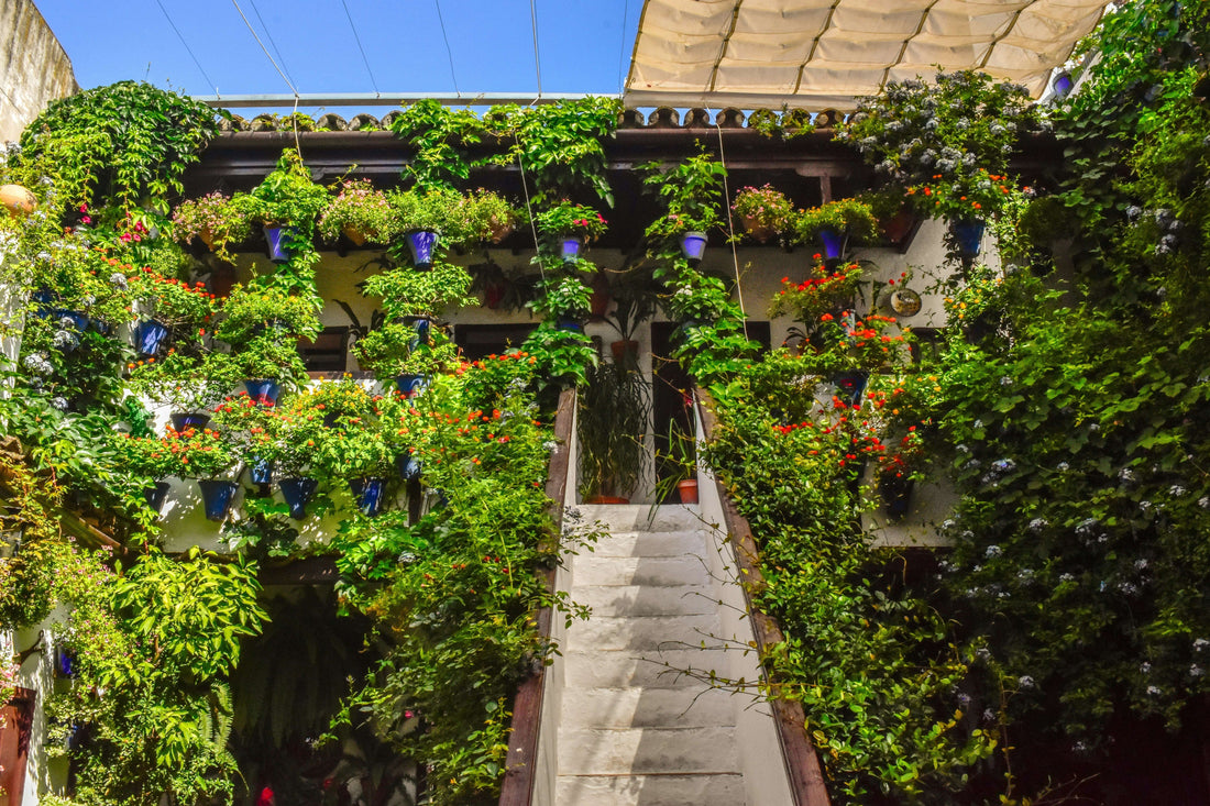 4-3  The Era of Vertical Gardens: Maximizing Small Spaces with Wall Gardening Ideas Petal Pals