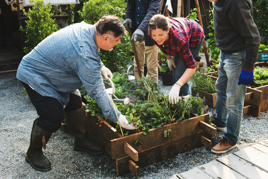 4-20  The Power of Community Gardening: Creating a Small Society with Your Neighbors