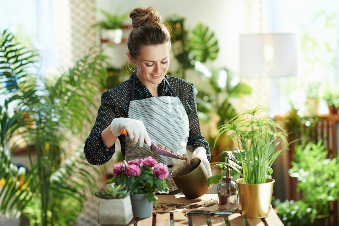 4-18  Upcycling Garden: Creating Planters from Discarded Glass Jars and Plastic Containers