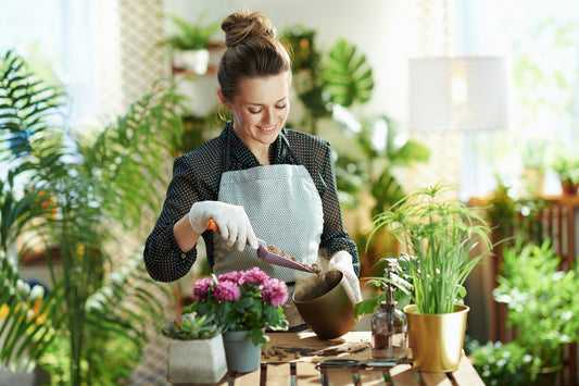 4-18  Upcycling Garden: Creating Planters from Discarded Glass Jars and Plastic Containers