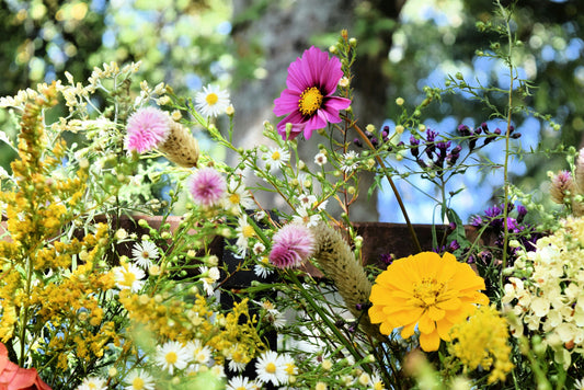 Edible Landscapes: How to Mix Wild Flowers with Homegrown Veggies