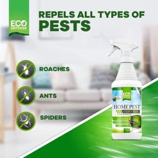 Eco Defense Biobased Pest Control Spray - Ant, Roach, Spider, Bug Killer and Repellent - Natural Indoor & Outdoor Bug Spray - Child & Pet Friendly (1 Gallon)