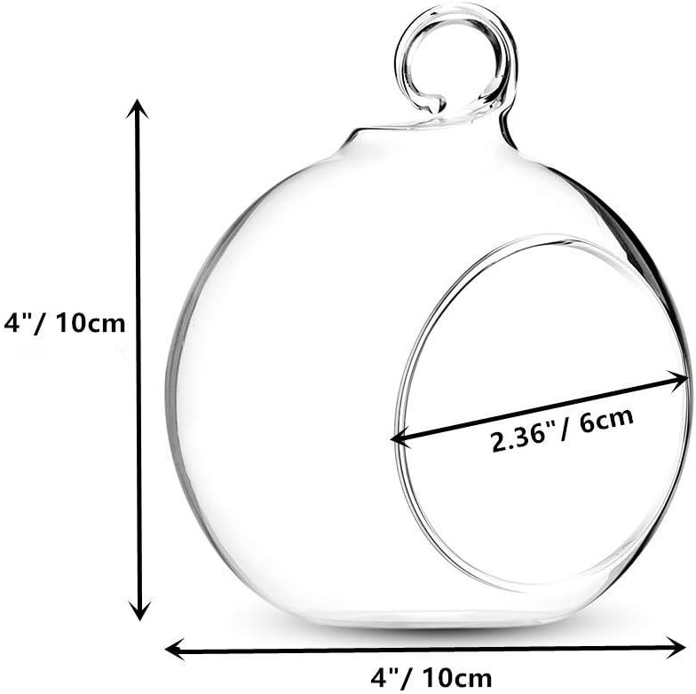 Set of 8 Air Plant Holder Hanging Glass Globe Tea Light Candle Holders Home Wedding Party Centerpieces Decor Indoor Outdoor Tealight Candleholders (8Pcs 4 inches Diameter)