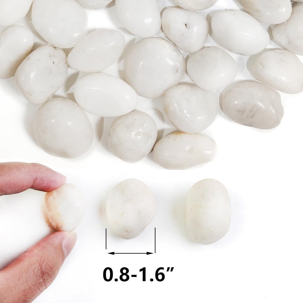 HappyFiller Natural Decorative White Pebbles Polished Rocks Stones for Aquarium Gravel,Fish Turtle Tank,Outdoor Indoor Succulents Plants Top Dressing,Graden Landscaping,10 LB