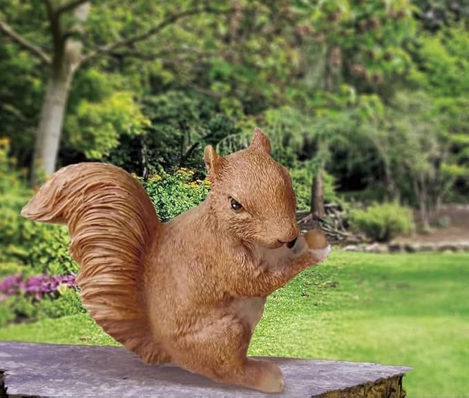 Garden Decor Polyresin Squirrel Statue with Acorn Statue - Charming Outdoor Decoration Ornament for Patio, Lawn, or Yard - Ideal for Garden Decor Enthusiasts and Nature Lovers