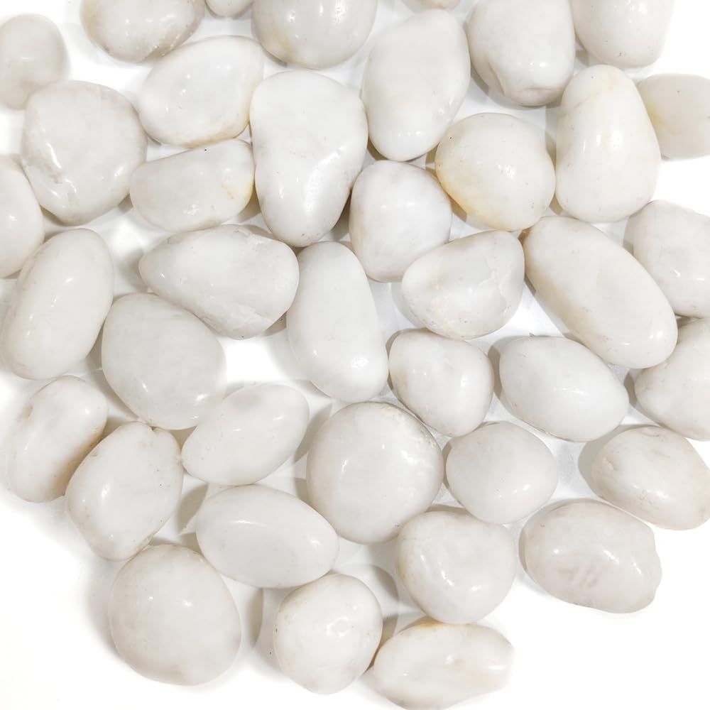 HappyFiller Natural Decorative White Pebbles Polished Rocks Stones for Aquarium Gravel,Fish Turtle Tank,Outdoor Indoor Succulents Plants Top Dressing,Graden Landscaping,10 LB