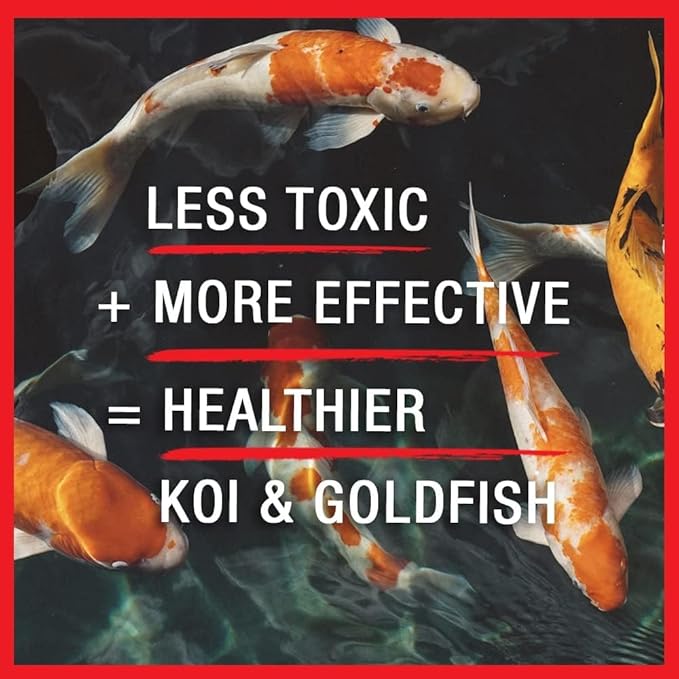 MICROBE-LIFT BSDTG1 Broad Spectrum Disease Treatment for Ponds and Outdoor Water Gardens, for Live Koi Fish, Goldfish, Plants, and Decor, 1 Gallon