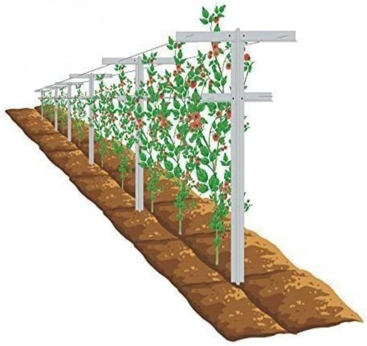 Grape Vine Trellis 7ft Tall 3pcs Set for Raspberry and Grape Plants, Heavy Duty, Easy to Install Vineyard Trellis, Fiberglass Rust-Proof, 3Trellises