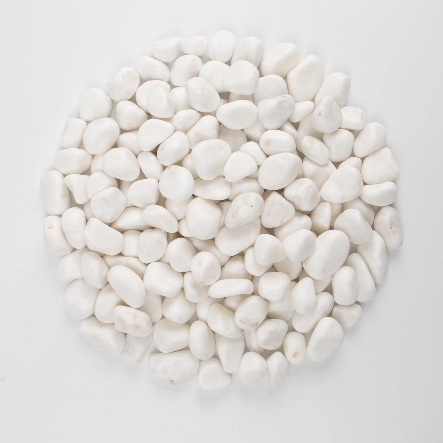 10 lbs White Polished Decorative Stones, 0.5-1 Inch Landscape Rocks for Indoor Plants, Garden, Outdoor Pathways, Vase Fillers, Pots, Glass Containers, and Craft Pro (Pure White, Weight: 10 LB)