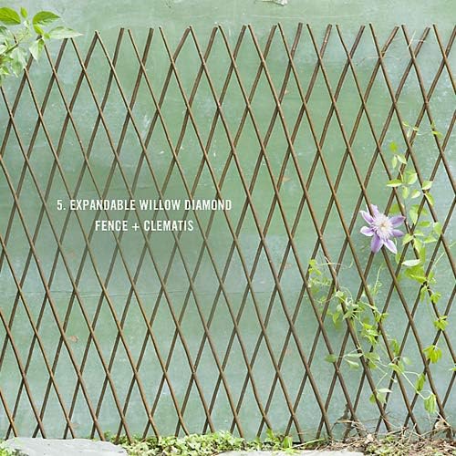 Natural Lattice Willow Trellis Fence for Climbing Plants,Expandable Garden Fence Wall Panel, Outdoor Decorative Wood Fence (2 Pieces)