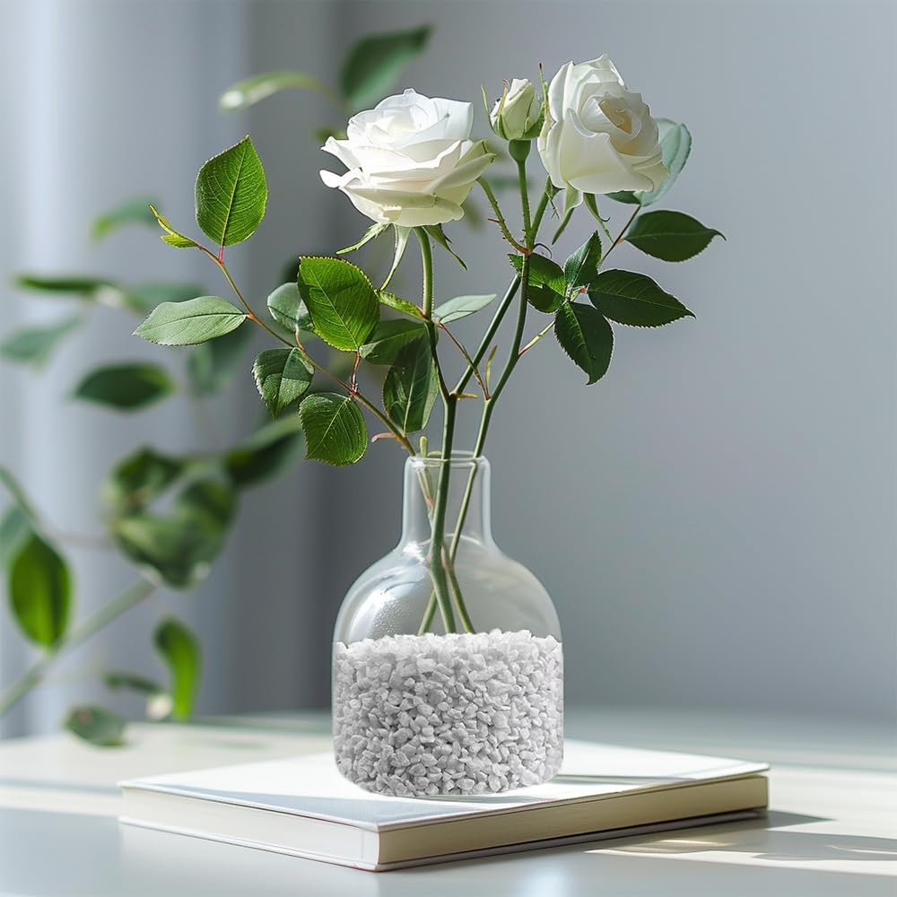 HappyFiller Succulent Cactus Soil Cover Gravels,Indoor Plants Decorative Small Rock,2-5mm Natural White Stones for Aquarium Fish Tank,Grow Media Cultivation Hydroponic Pebbles,1.1 LB