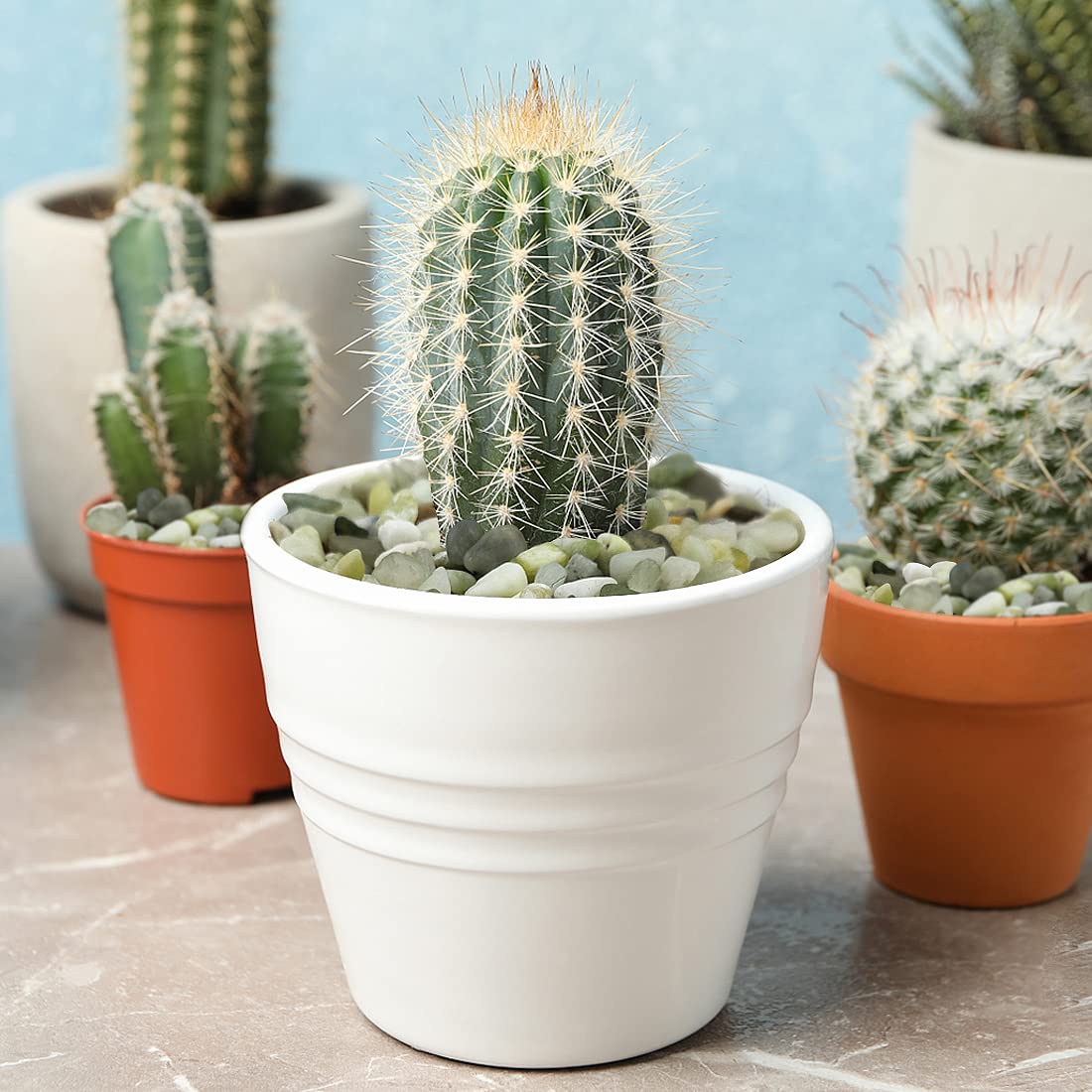 10LB Succulent and Cactus Jade Pebbles, 3/8 Inch Natural Decorative Polished Stones, River Rocks for Indoor Plants, Vases, Planters and Outdoor Gardening