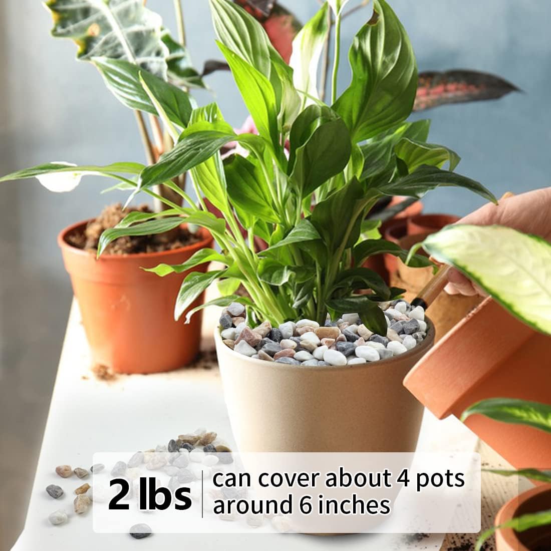 2LB Succulent and Cactus Gravel Pebbles, 1/5 Inch Natural Decorative Polished Stones, River Rocks for Vases, Aquariums, Terrarium and Outdoor Gardening, Mixed Color