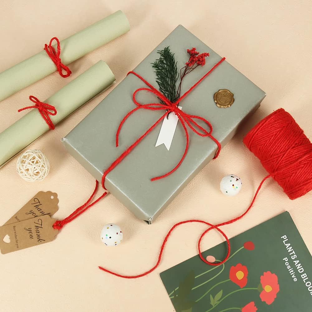 Tenn Well Red Jute Twine, 328 Feet 3mm Thick Craft Twine Packing String for Gift Wrapping, Gardening, DIY Projects