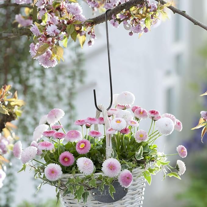 Vindar 3 Pack 12 Inches Bird Feeder Hook Extra Large S Hooks Heavy Duty Hooks Hangers for Tree Branch, Bird Feeder, Hummingbirds Feeders, Bird House, Office, Wind Chimes, Lanterns, Gardening Tools