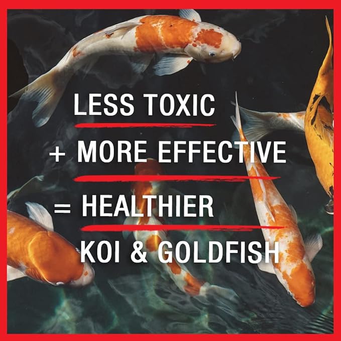 MICROBE-LIFT BSDT16 Broad Spectrum Disease Treatment for Ponds and Outdoor Water Garden, Safe for Live Koi Fish, Goldfish, Plants, and Decor, 16 Ounces