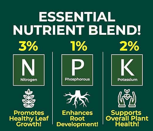 Gardenera Professional Money Tree Spray Fertilizer Mist for Home Gardening | 3-1-2 Gentle Blend Mist for Healthy Leaves & Growth | Essential Nutrients for Money Tree - 8oz