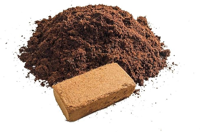 Cat Grass Growing Soil (4 Quarts), Soil for Starting and Growing Cat Grass, Loose Coconut Coir for Growing Cat Grass