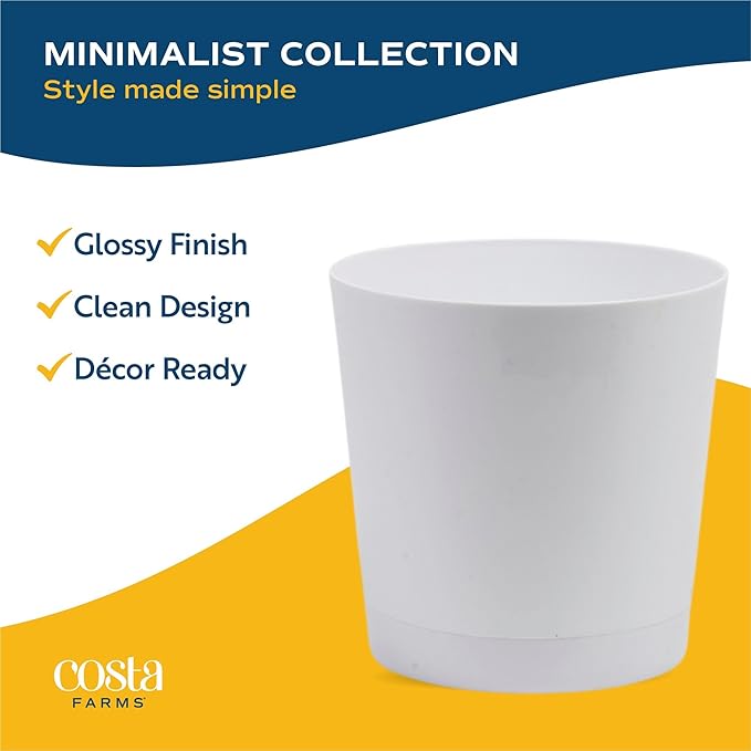 Costa Farms Majesty Palm Live Plant in Decorative Pot, Indoor Houseplant, Perfect for Home, Room, or Office Decor, Great House Warming or Birthday Gift, 3-4 Feet Tall