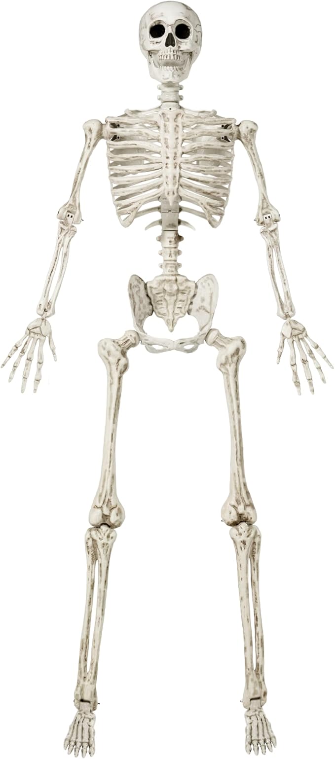 JOYIN 6.9 FT Halloween Skeleton Posable Plastic Full Body Realistic Human Bones with Movable Joints for Indoor Outdoor Halloween Props Spooky Scene Party Decorations（White, No Screwdriver）