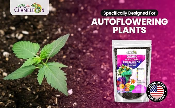 Organic Autoflower Potting Soil Mix – Ready-to-Use Living Soil, No Fertilizers Needed – Balanced Nutrients, Light Texture, Excellent Drainage, Boosts Germination & Root Growth (1 Quart)