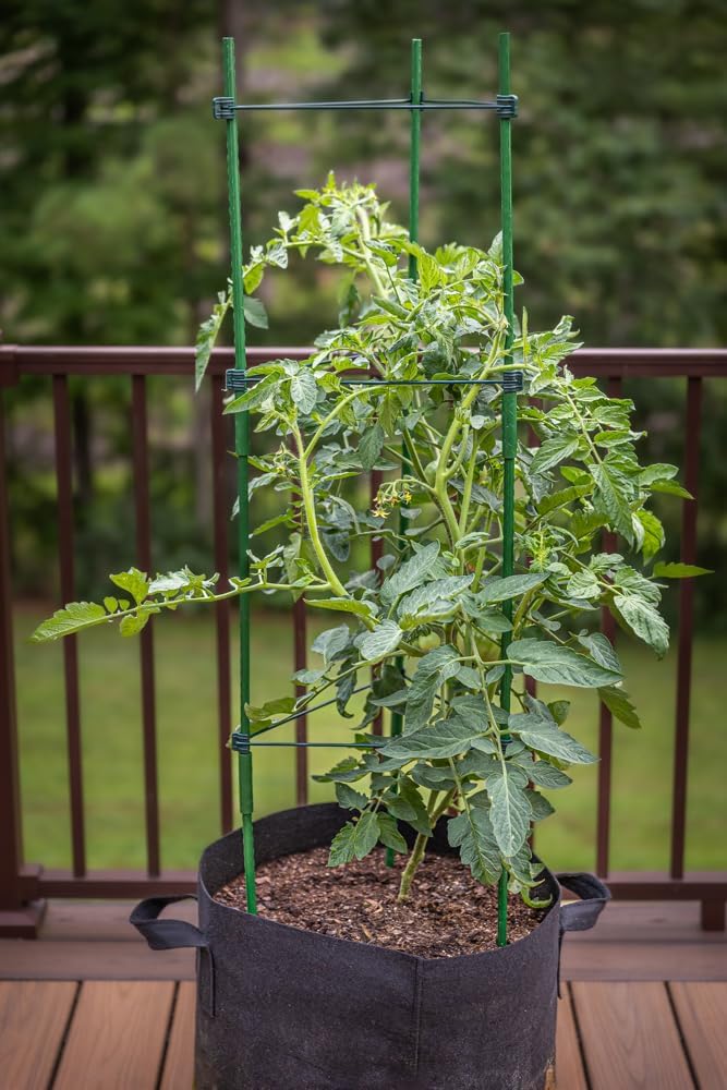 Gardzen 3-Pack Tomato Cage, Plants Support, Trellis Climbing Triangular Cage, Stand for Pepper Eggplant Tomato Flowers