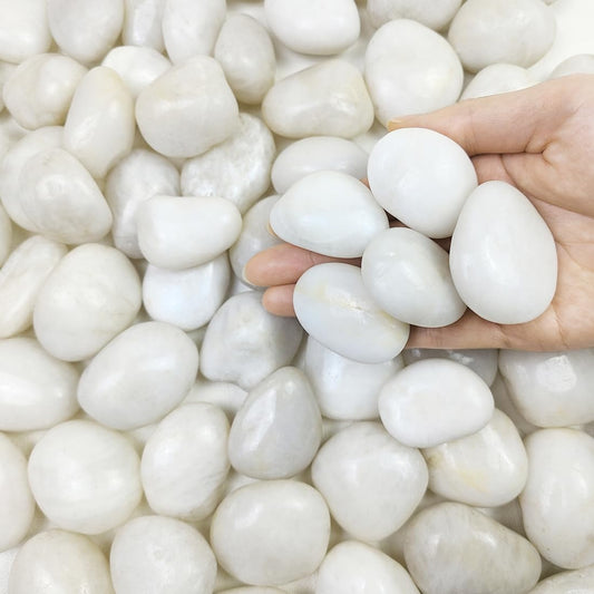 2 lbs Polished White Pebbles for Pebbles, 1-2 Inch Smooth White River Rocks for Plants Potted Vases Fillers Fish Tank Landscaping and Outdoor Garden Decorative Rocks