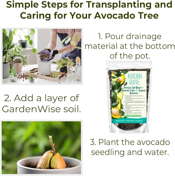 Avocado Tree Soil – Premium Organic Potting Mix for Avocado Trees | Tailored pH & Organic Nutrients | Fast-Draining & Moisture-Retaining | Indoor & Outdoor Use (2 QUARTS)