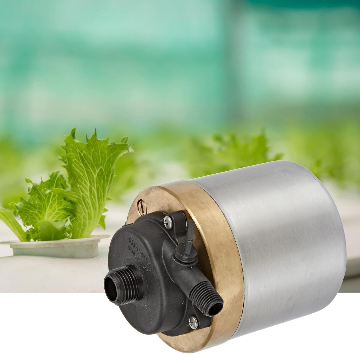 Little Giant S580PT-20 115 Volt, 740 GPH Oil-less Stainless Steel and Bronze Direct Drive Pump for Fresh or Salt Water Ponds or Fountains, Steel, 517100002