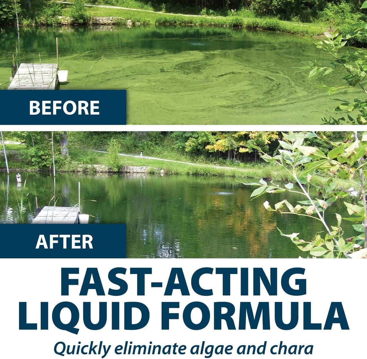 Airmax Algae Defense, EPA Registered Algaecide Pond & Lake Water Treatment, Floating Moss, Green Slime Scum & Chara Killer for Large Ponds & Lakes, Outdoor Liquid Spray Copper Based Solution, 1 Gallon