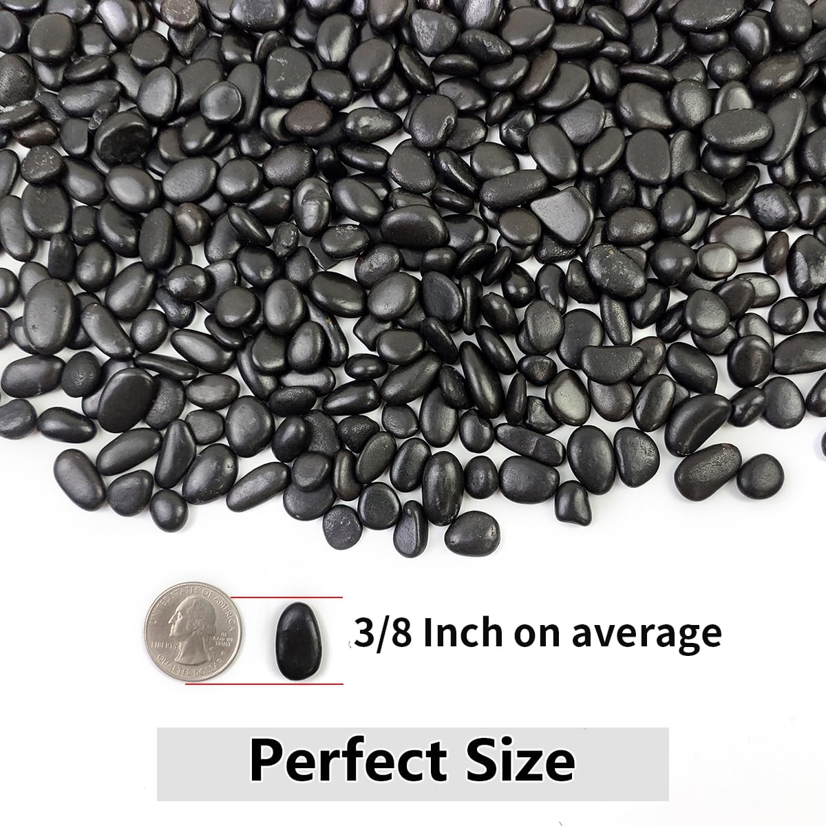 5LB Succulent and Cactus Black Pebbles, 3/8 Inch Natural Decorative Polished Stones, River Rocks for Indoor Plants, Vases, Planters and Outdoor Gardening