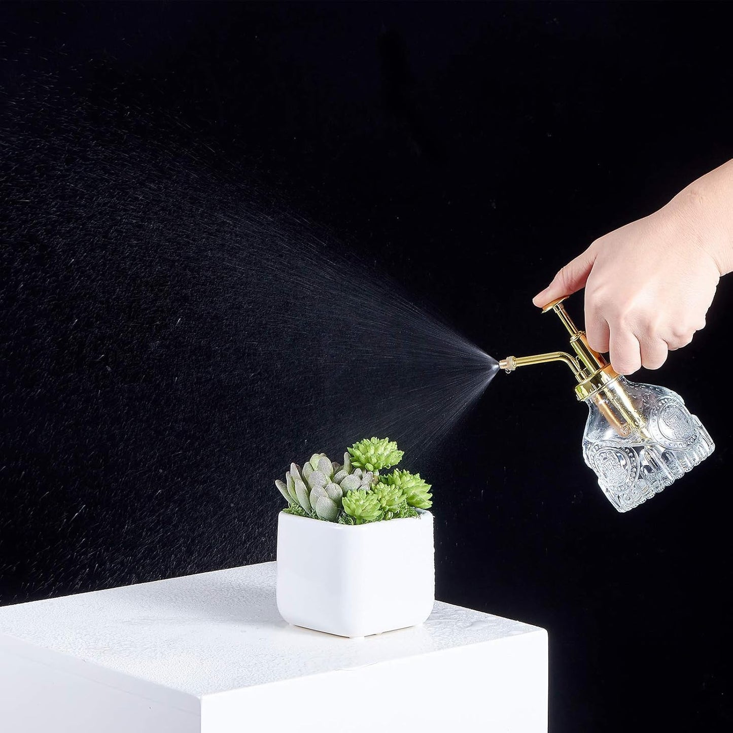 Glass Plant Mister Spray Bottle, Vintage Succulent Water Sprayer with Golden Top Pump, Small Sprayer Mister for Indoor Outdoor House Plants - Clear