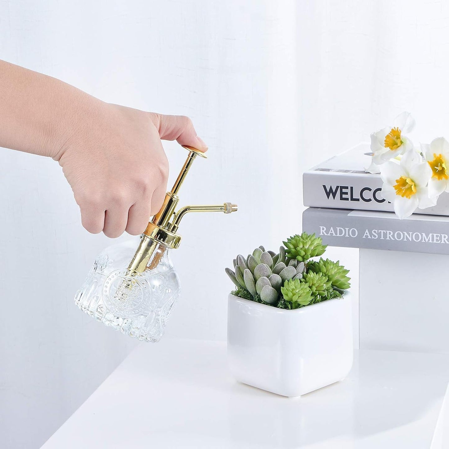 Glass Plant Mister Spray Bottle, Vintage Succulent Water Sprayer with Golden Top Pump, Small Sprayer Mister for Indoor Outdoor House Plants - Clear