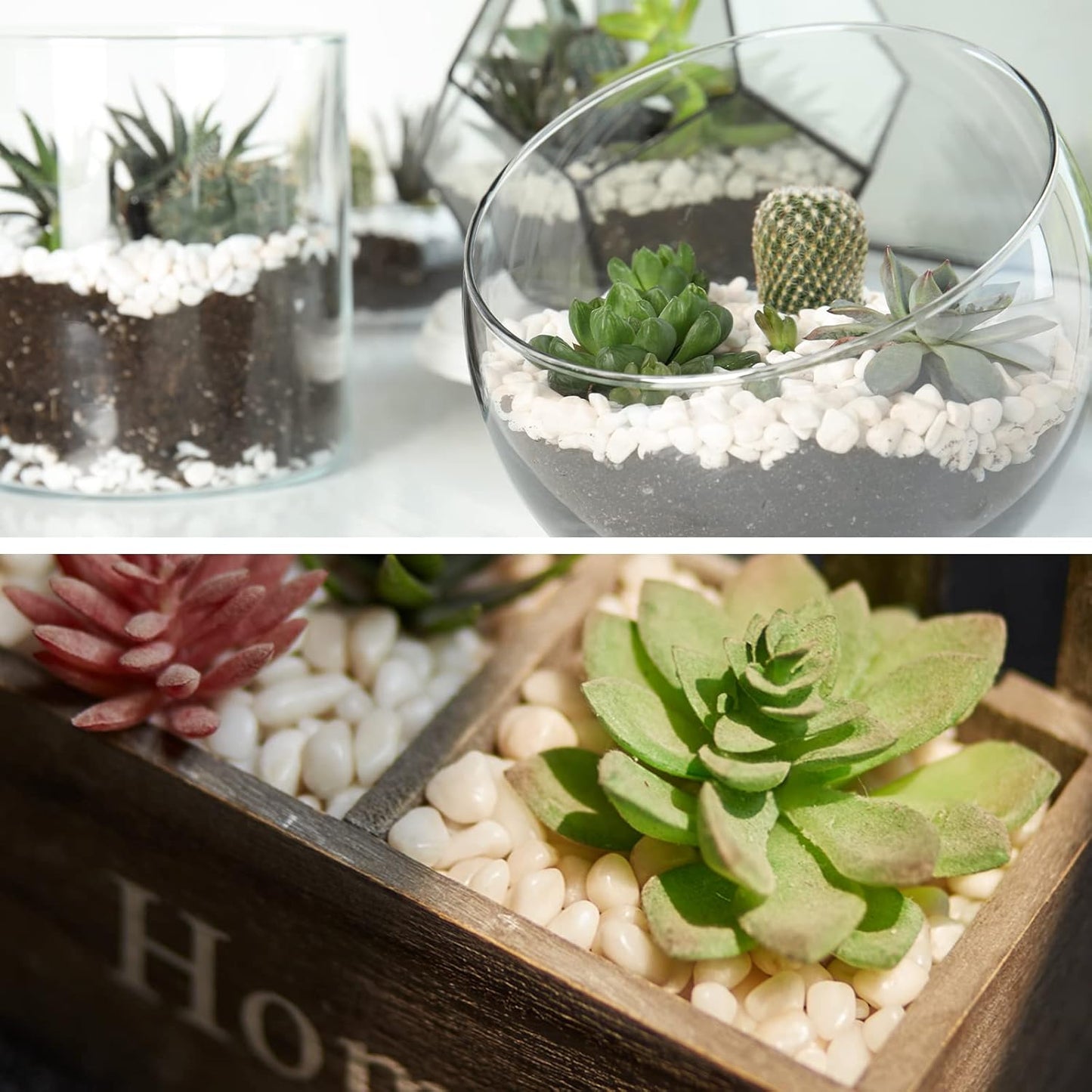 GASPRO 2.5 Pound Pebbles for Indoor Plants, 3/8" Decorative White Rocks for Vases, Planters, Succulents, Highly Polished Aquarium Gravel, Smooth Surface and Fade Resistant