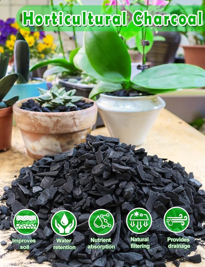 TOYPOPOR Horticultural Charcoal for Indoor Plants Hardwood Potting Soil Amendment Helps Improve Drainage for Orchids, Succulent, Cactus, Terrariums, and Gardening 1Quart