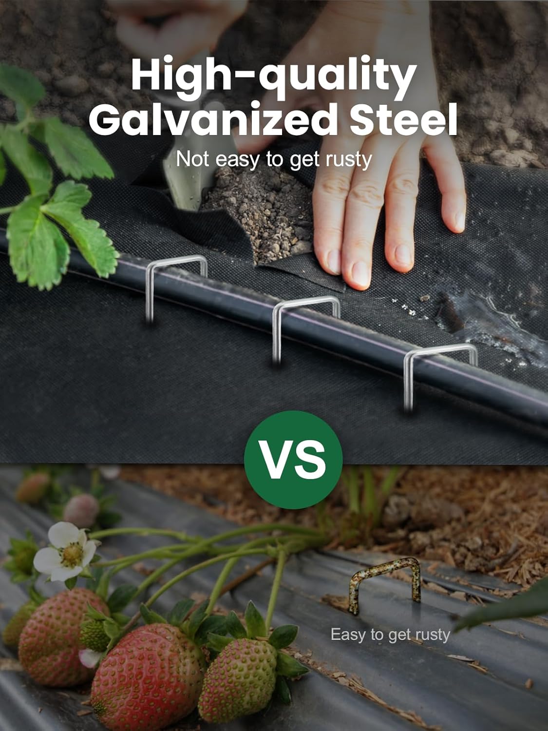 GROWNEER 4 Inch 100 Pack Landscape Staples Heavy Duty 11 Gauge Galvanized Steel Garden Stakes Staples Securing Pegs for Securing Weed Fabric Landscape Fabric Netting Ground Sheets and Fleece