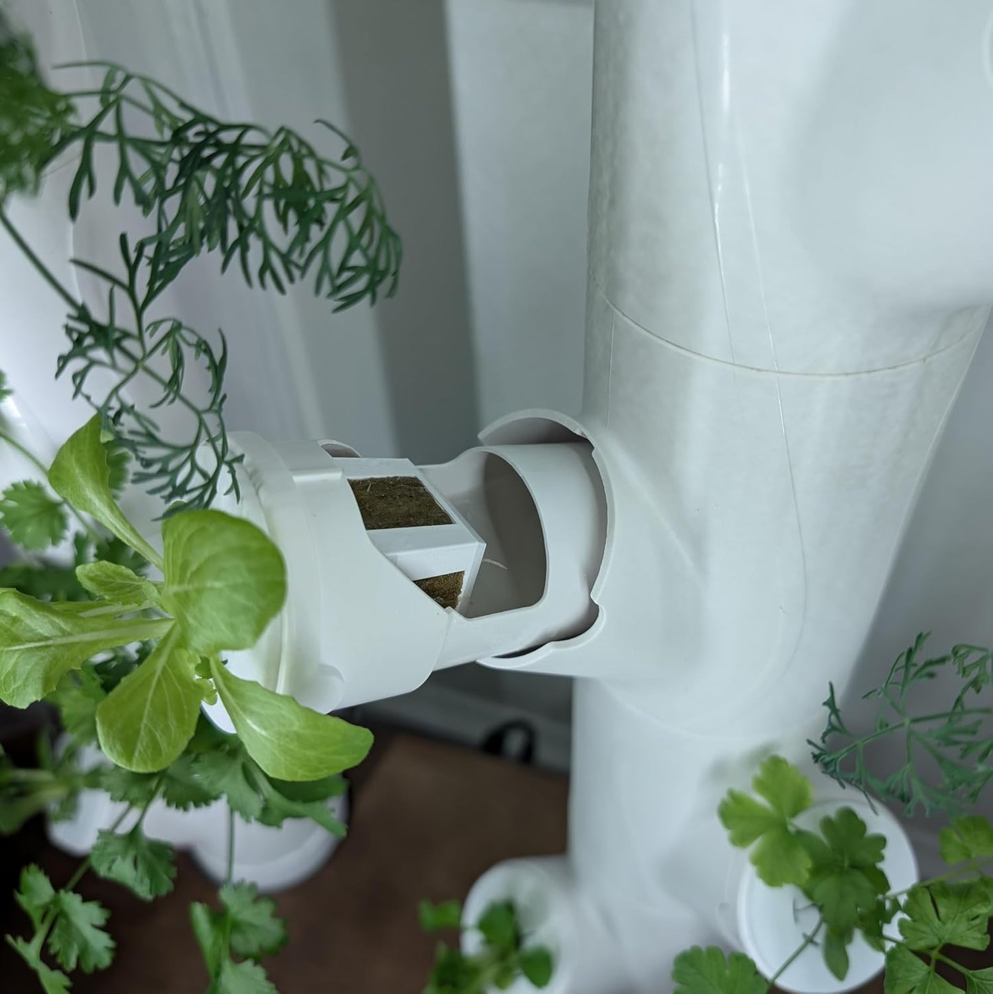 Grow Cubes for Hydroponic System/Compatible with Gardyn (15 Grow Cubes)