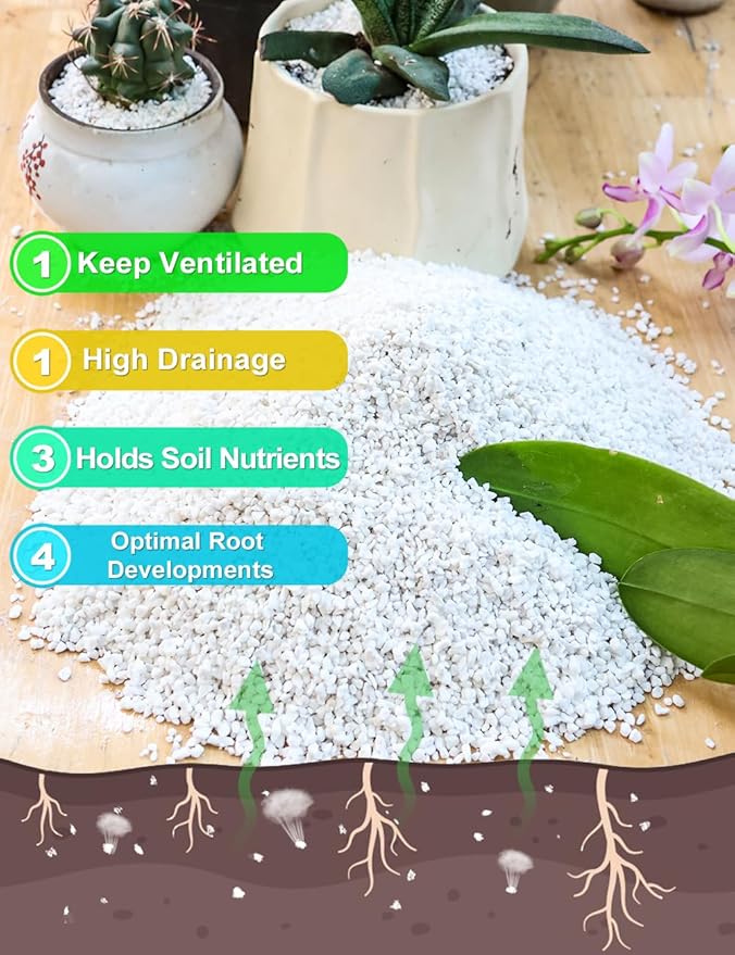 TOYPOPOR Perlite for Plants, (3qt) 3-6mm Organic Perlite for Gardening, Perlite for Plants Indoor, Soil Additive Conditioner Mix Improve Drainage and Ventilation Promote Root Growth and Soil Health