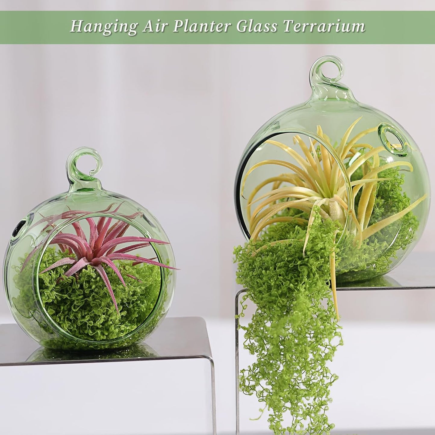 LETINE 12pcs Green Glass Orb Set, 2.17" & 1.93" Spheres for Air Plant Terrarium, Tea Light & Votive Candle Holders - Ideal for Wedding Centerpieces, Christmas Table Decorations, Rehearsal Dinner