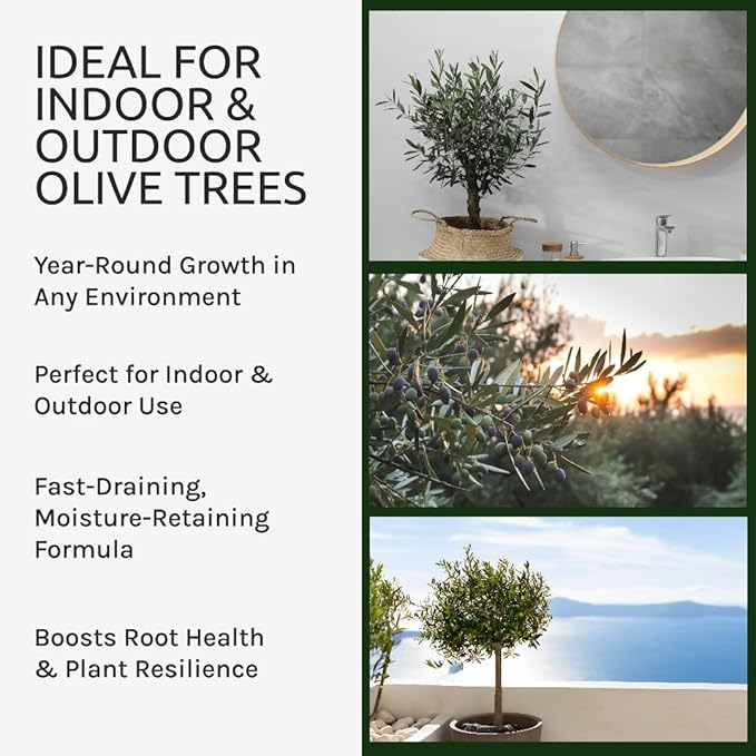Organic Olive Tree Potting Mix – Fast-Draining, Nutrient-Rich Soil for Indoor & Outdoor Olive Trees – Mediterranean Plant Care – Long-Lasting Formula (10 QUARTS)