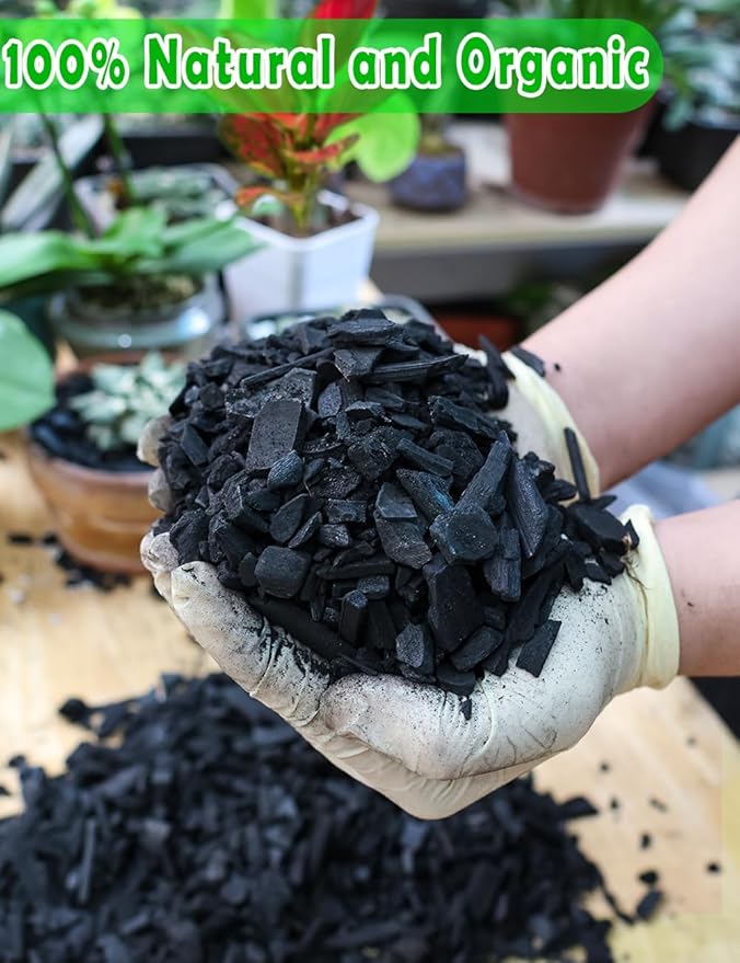 TOYPOPOR Horticultural Charcoal for Indoor Plants Hardwood Potting Soil Amendment Helps Improve Drainage for Orchids, Succulent, Cactus, Terrariums, and Gardening 1Quart