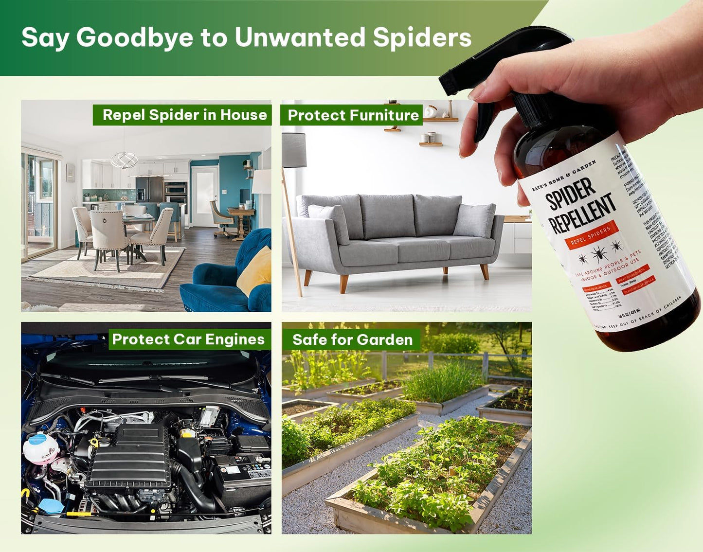 Kate's Home & Garden Spider Repellent Indoor. All Natural Peppermint Oil Spray for Spiders & Outdoor (16oz, Non Toxic Pesticide & Insecticide, Pet Safe)