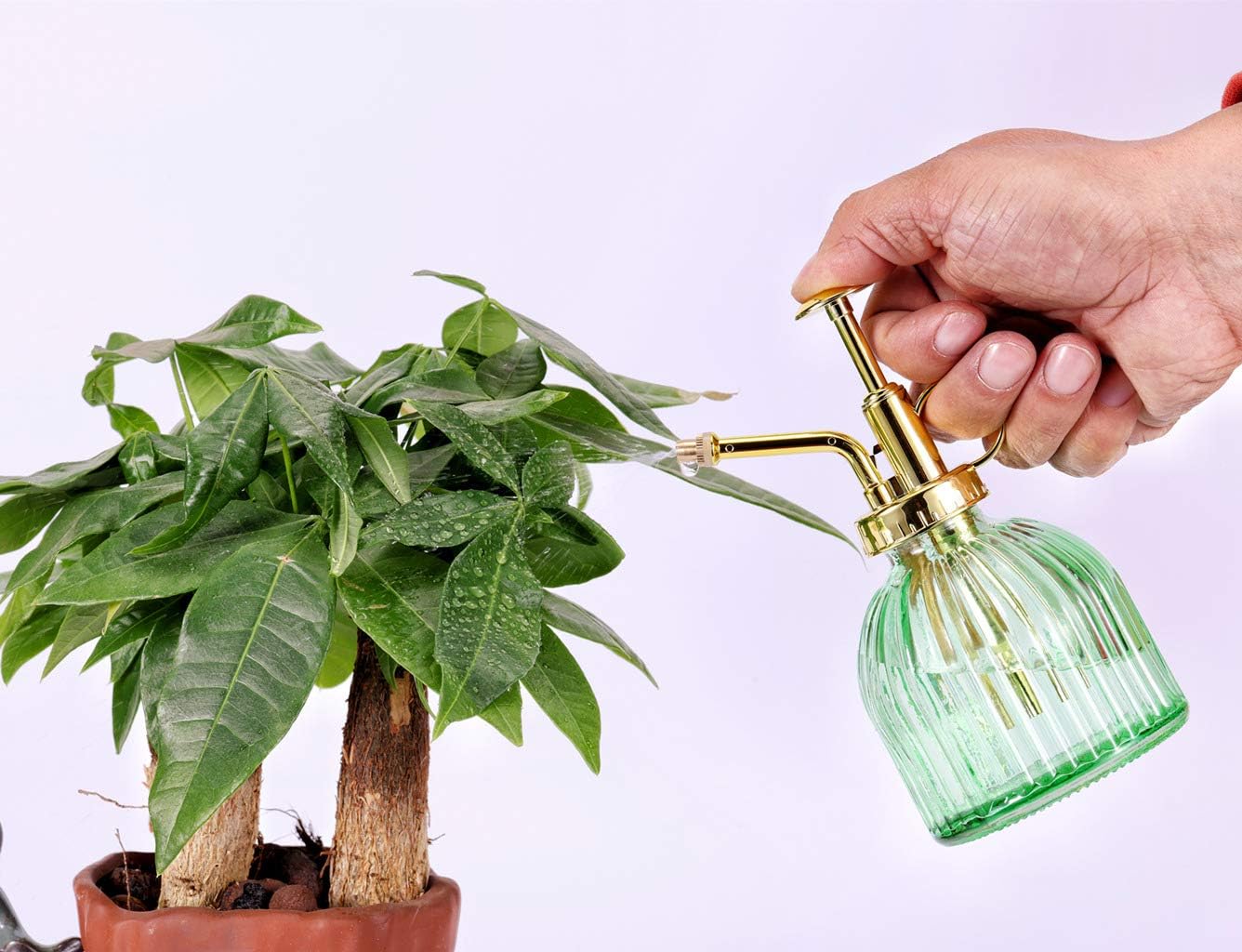 Glass Plant Mister Spray Bottle, 6.5" Green Glass Water Spray Bottle with Gold Top Pump Small Watering Can, Small Plant Sprayer Mister for Indoor Outdoor House (Green+Gold A)